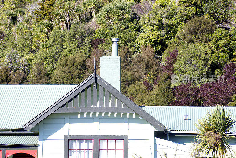 传统新西兰风格的山墙别墅与Ti Kouka树